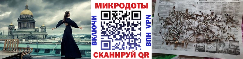 Псилоцибиновые грибы Psilocybine cubensis  Буинск 